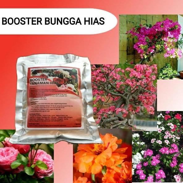 

Terlaris Pupuk Tanaman Hias Organik Segala Jenis Booster Tanaman Hias Memacu Ak