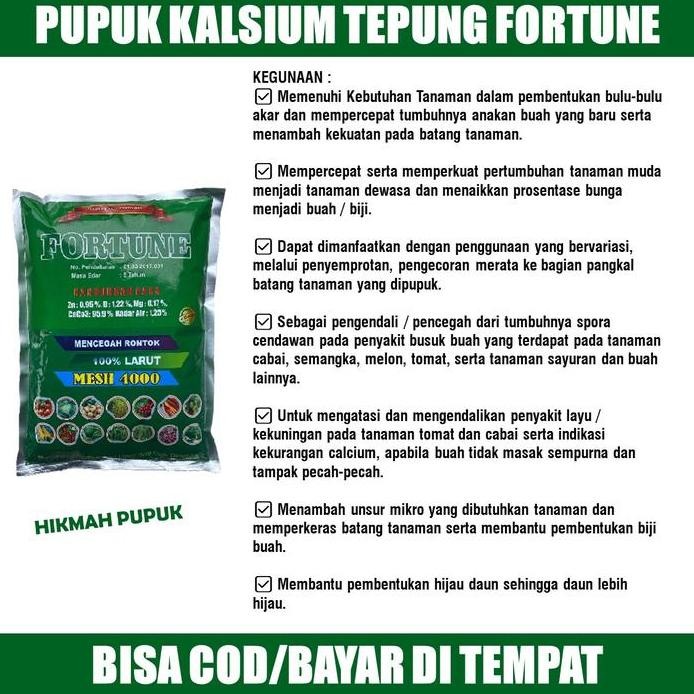 

Terlaris Fortune 1 Kg Obat Anti Penyakit Kuning Keriting Rontok Daun Cabe Terbaik Pupuk Cair Organik Anti Patek Ulat Lalat Semut Kalsium Hayati- Pupuk Kalsium Lebatkan Cabe Rontok Dan Bintik Hitam, Pupuk Majemuk Serbuk Dan Semprot Organik Cabe