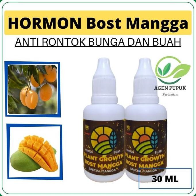

Terlaris Pupuk Cair Organik Untuk Pohon Buah Mangga, Hormon Booster Mangga