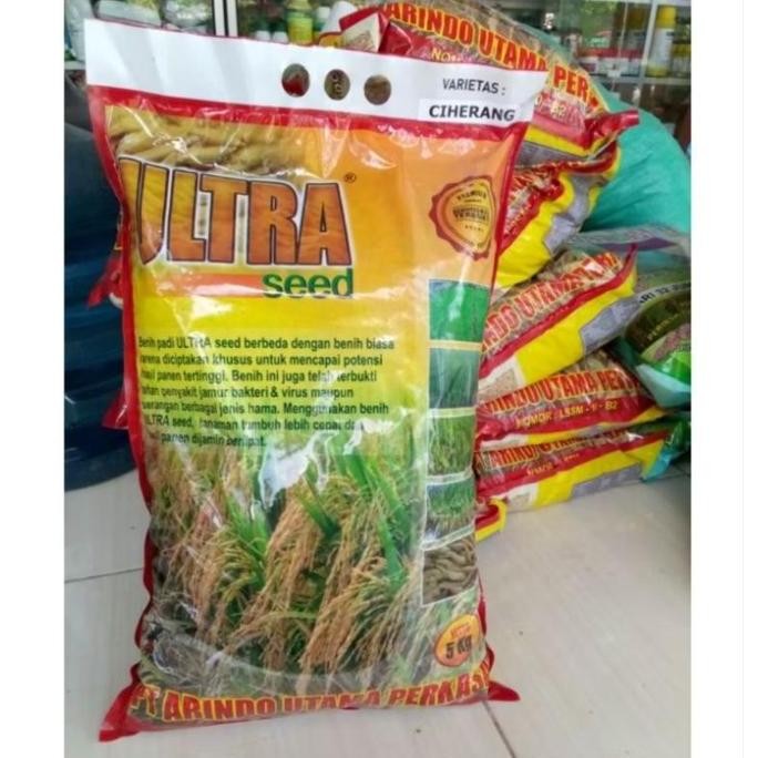 

Terlaris Benih Padi Unggul Inpari 30 42 32 Alindo 5 Kg Ultra Seed 5 Kg Daun Kuning Tanaman