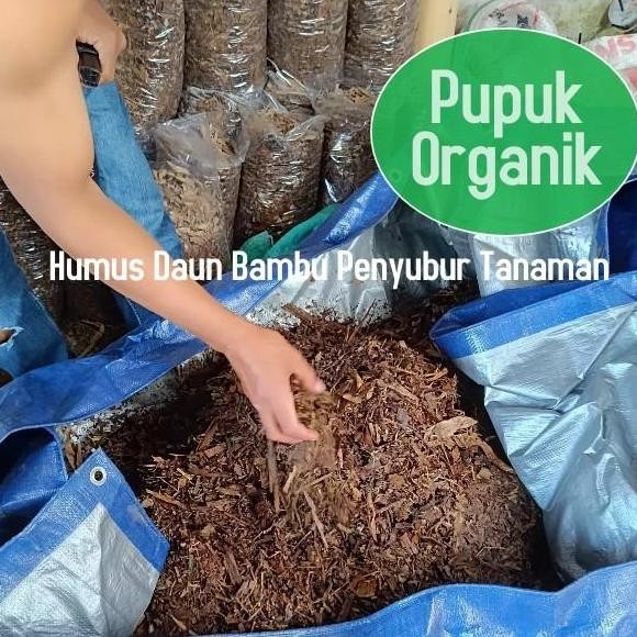 

Terlaris Langsung Order!!! Fermentasi Daun Bambu Pupuk Humus 100% Organik Non Kimia Langsung Order!!!