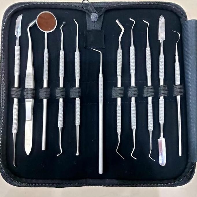Dental kit Stainless steel isi 8 Alat pembersih Karang Gigi Manual