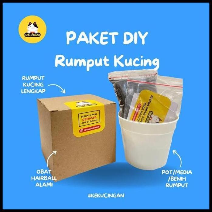 

Terlaris Rumput Kucing Paket Tanam Benih Gandum Wheatgras Lengkap Terlaris