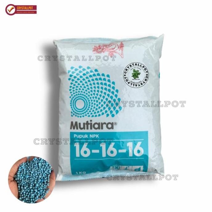 

Terlaris Pupuk Penyubur Tanaman Npk Mutiara Meroke 16-16-16 Kemasan Pabrik 1 Kg