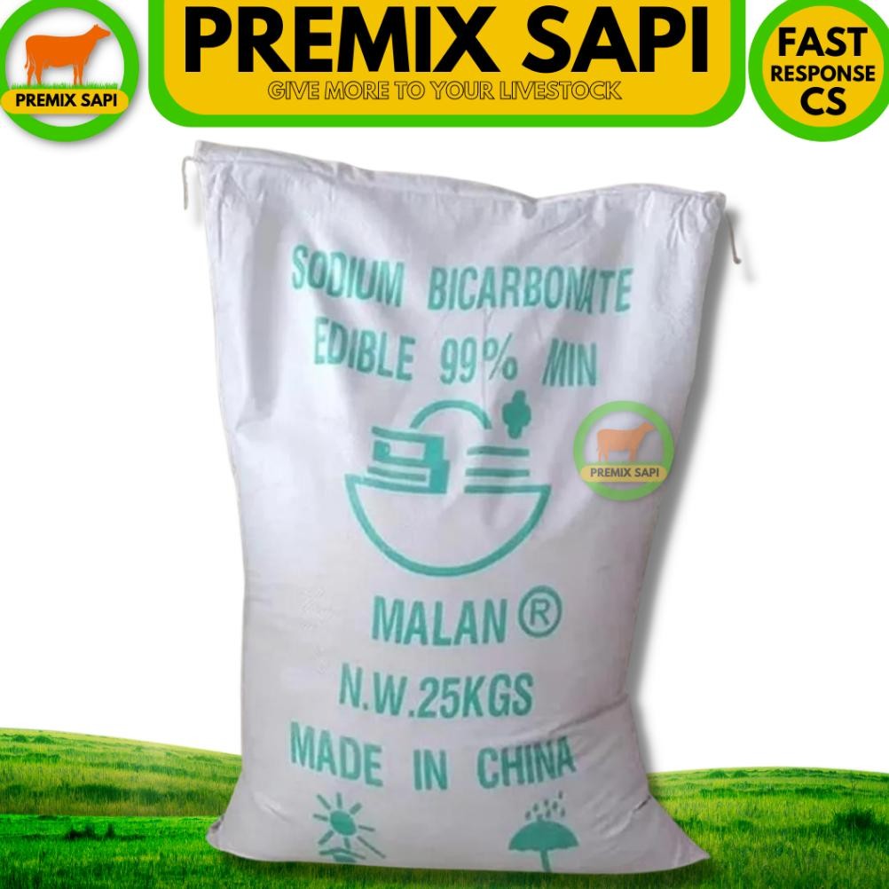 NEW BAKING SODA 500 gr - Food grade - Soda Kue - Sodium Bicarbonate 500g MURAH BERKUALITAS