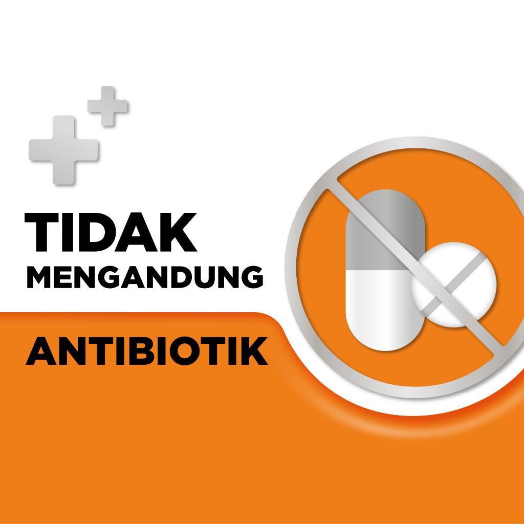 

Strepsils Vitamin C Isi 8 Butir X 12 Sachet - Permen Pelega Tenggorokan Rasa Jeruk