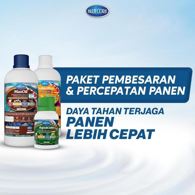 Bluecore Paket Vitamin Ikan, Bakteri Starter dan Obat ikan - Cocok Untuk semua jenis ikan (Ikan Lele