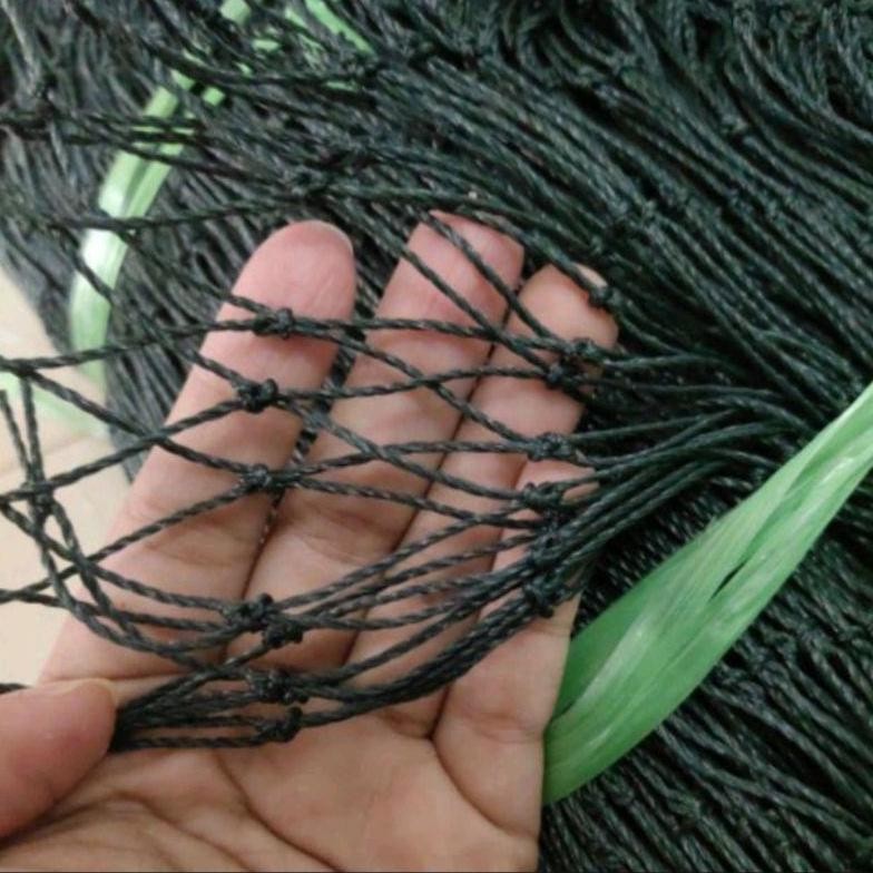 Jaring Ayam Pagar Ayam Lebar 2.5 x 20 Meter Tebal Jaring Pagar Ayam Tebal Jaring Pagar Kandang Ayam 