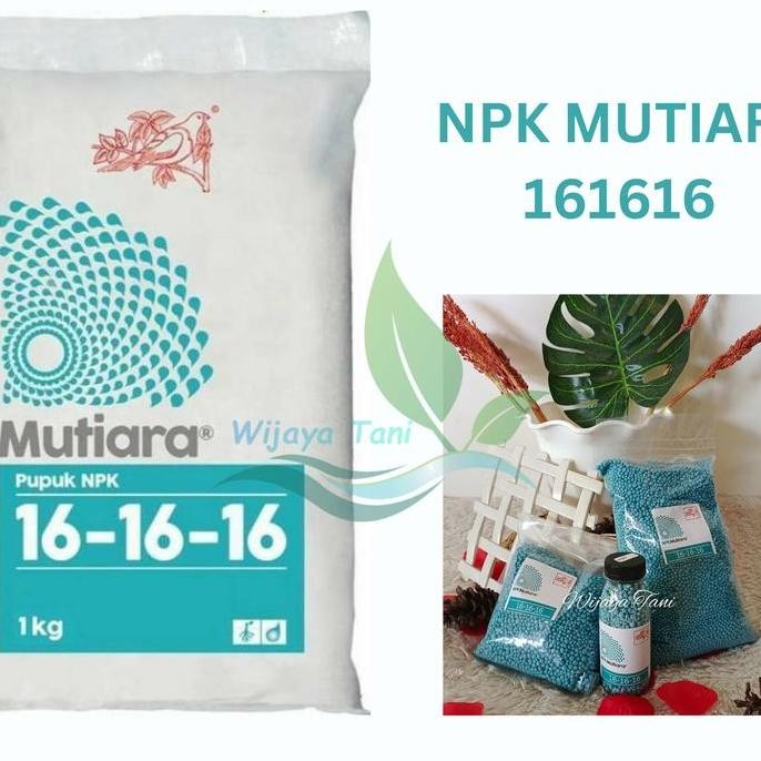 

Terlaris Pupuk Npk Mutiara 16 16 16 | Nutrisi Tanaman | Penyubur Tanaman