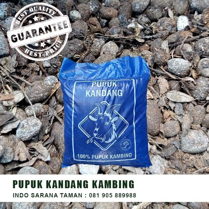 Terlaris Pupuk Kandang Kambing 1 Sak Pupuk Kambing