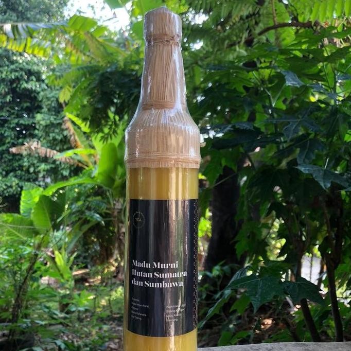 

BARU MADU ASLI KALIANDRA NEKTAR BUNGA HONEY ALAMI