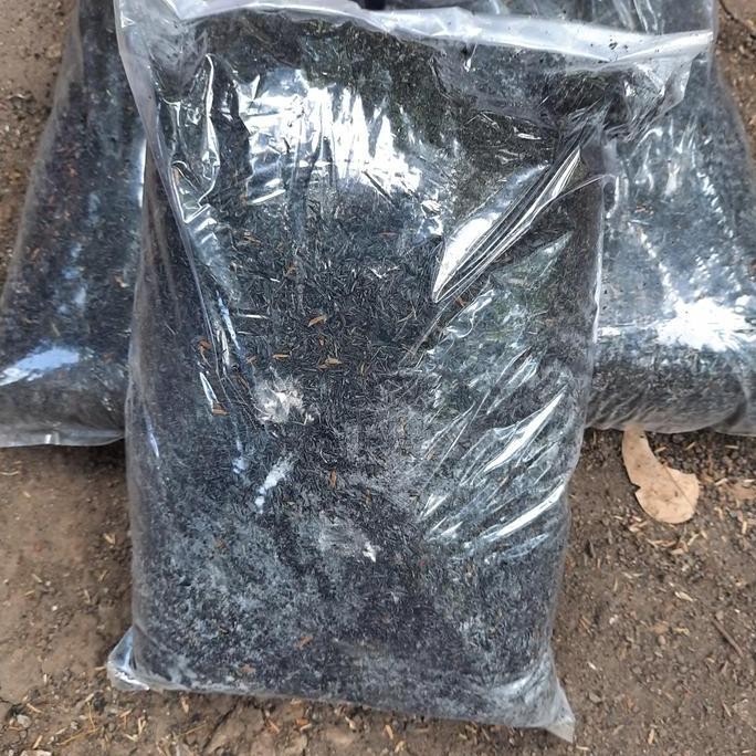 

Terlaris Sekam Bakar 2 Kg Dan Pupuk Kandang