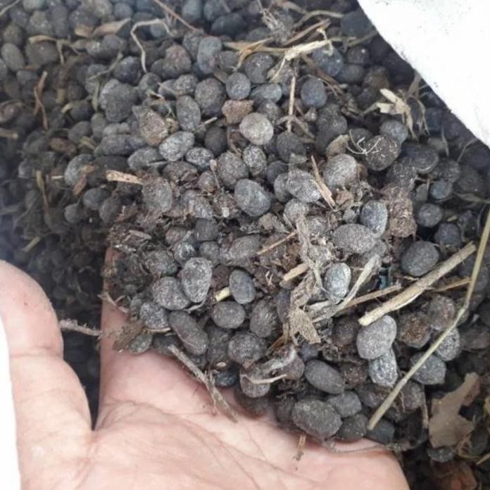 

Terlaris Pupuk Kandang Kohe Kambing Kering Organik