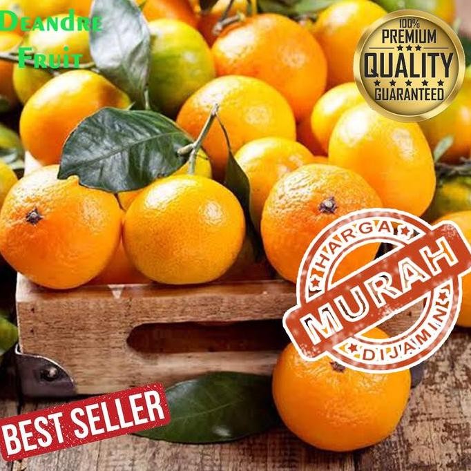 BARU MURAH 1 KERANJANG JERUK SANTANG MADU MANIS BUAH SHANTANG IMPORT