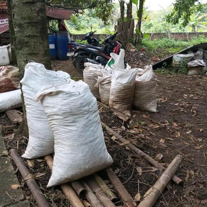 

Terlaris Pupuk Kandang Kambing Domba