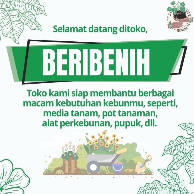 

Terlaris Terbaru Pupuk Kandang Kambing Organik Halus Siap Pakai Halus Kohe