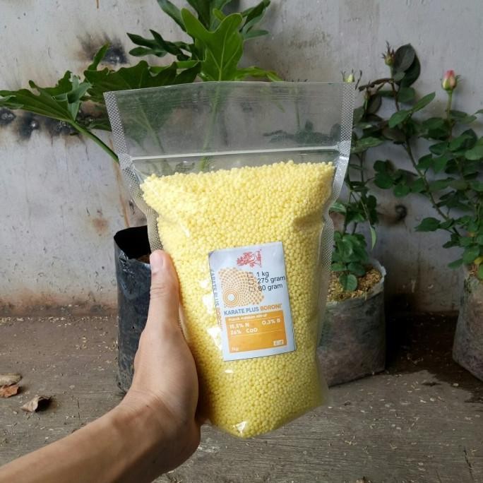

Terlaris Pupuk Karate Boron 1 Kg, Npk Kuning Kalsium, Pupuk Meroke Calnit Plus