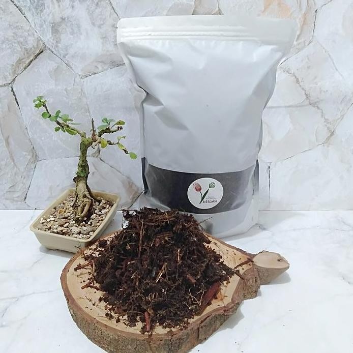 

Terlaris Media Tanam Subur Racikan Mix Andam Plus Pupuk Kandang Fermentasi 1Kg