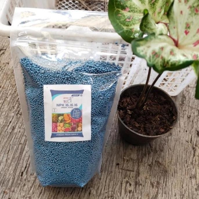 

Terlaris Pupuk Npk 16 16 16 Pak Tani, Repack Kemasan 1 Kg