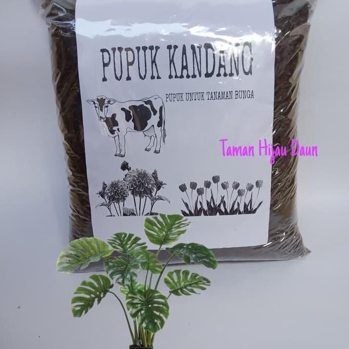 

Terlaris Pupuk Kandang Paket Curah Sudah Sterilisasi Kirim Gojek