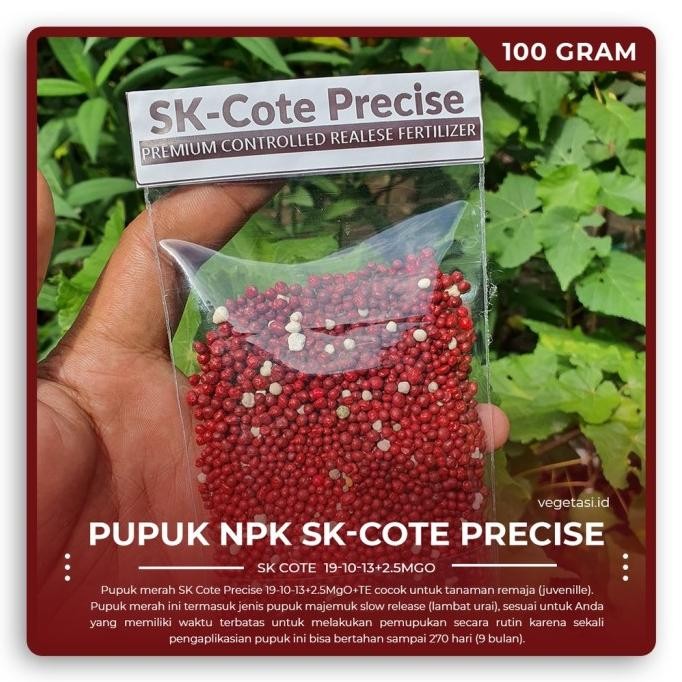

Terlaris Pupuk Merah Slow Release Npk Sk Cote Precise 19-10-13+2.5Mgo+Te 100Gr