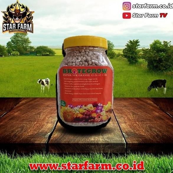 

Terlaris Brotegrow Orange - Pupuk Npk Granul 12-24-12 - Star Farm