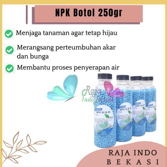 

Terlaris Raja Indo Pupuk Npk 250 Gr 16-16-16 Penyubur Buah Bunga Dan Daun Kemasan Kecil