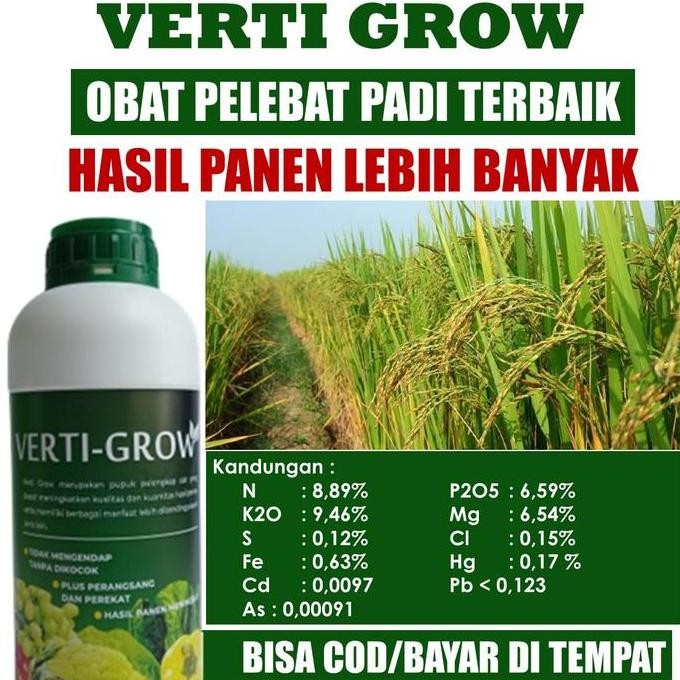 

Terlaris (New) Vertine Grow Obat Pelebat Padi - Pupuk Penyubur Padi - Pupuk Npk Cair Vertine Grow 500 Ml Merangsang Akar, Batang & Buah Pada Tanaman Padi Sehingga Dapat Menghasilkan Panen Berlipat