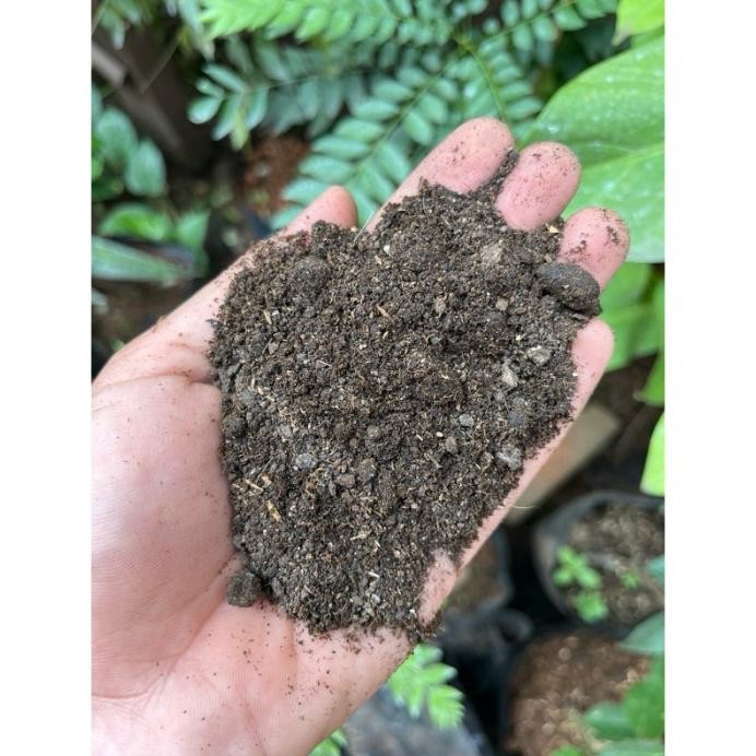 

Terlaris Pupuk Kandang Kambing Bersih Dan Halus (1 Kg)