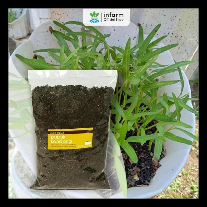 

Terlaris Media Tanam Organik Pupuk Kandang 1,3 Liter Infarm