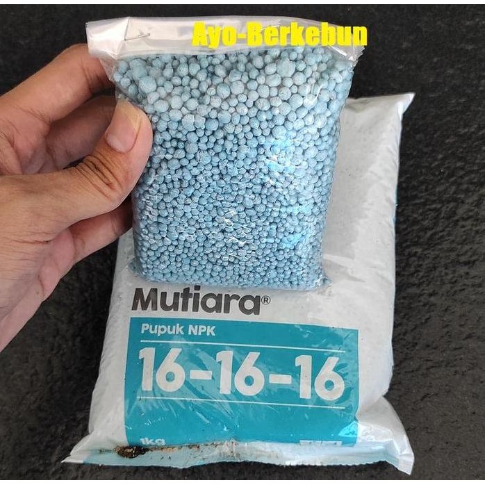 

Terlaris Pupuk Npk 16 16 16 / Pupuk Npk Mutiara 200 Gram / Pupuk Npk 16-16-16