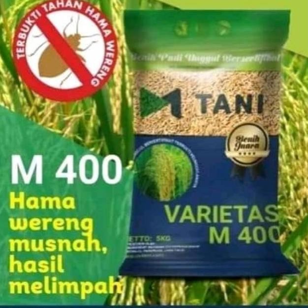 

Terlaris Unik Bibit Benih Padi M400 Asli M Tani Diskon