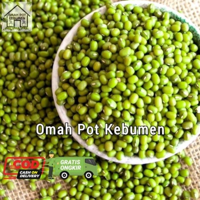 

Terlaris Kacang Hijau / Kacang Ijo Kualitas Super 1Kg Original Tanpa Pewarna