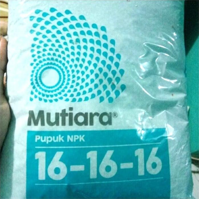

Terlaris Pupuk Npk Mutiara 16 16 16 Kemasan Ekonomis 1Kg