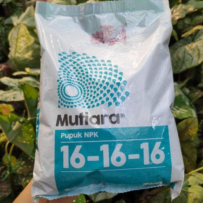 

Terlaris Npk Mutiara 16 16 16 Kemasan 1Kg