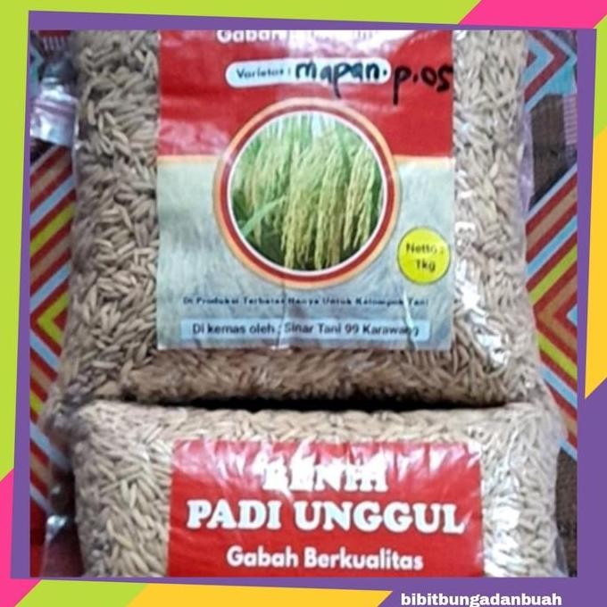 

Terlaris Benih Padi Mapan P.05 Hibrida Kualitas 1Kg