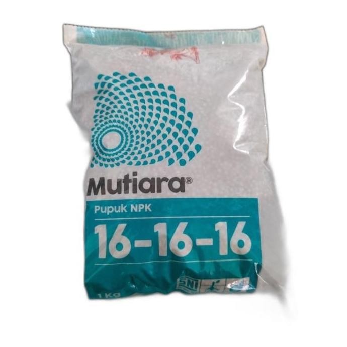 

Terlaris Npk Mutiara Meroke 16-16-16