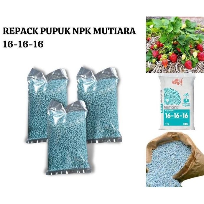 

Terlaris Pupuk Mutiara Npk 16-16-16 Repack Untuk Segala Jenis Tanaman 100Gr