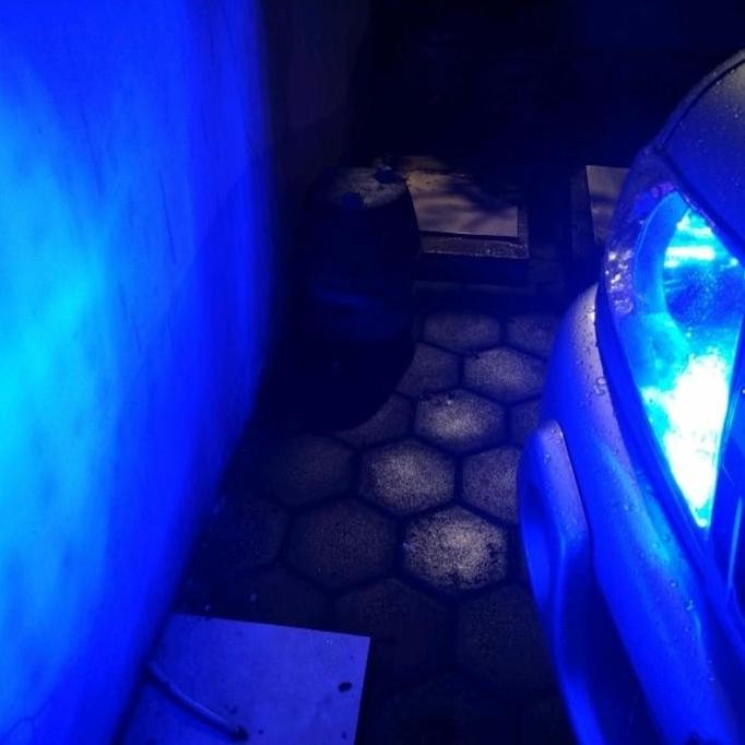 New lampu led t10 lampu senja canbus