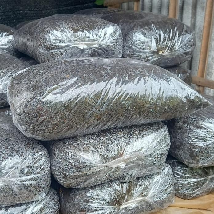 

Terlaris Pupuk Kandang Kambing Bersih Dan Halus (5 Kg)