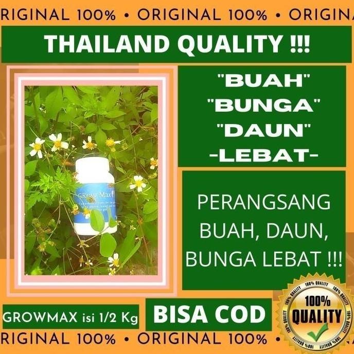 

Terlaris Grow Max Pupuk Npk Pengganda Pelebat Buah Bunga Daun Nasa Mkp 1/2 Kg