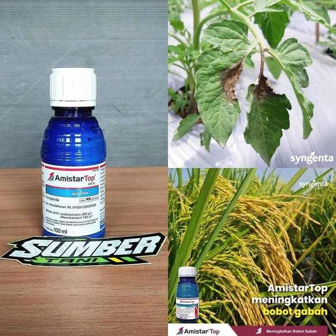 

Terlaris Fungisida Amistartop 325Sc 100Ml Sistemik Basmi Jamur Bercak Daun Meningkatkan Kualitas Bobot Padi