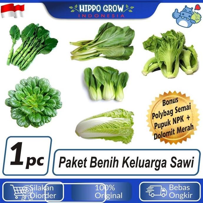 

Terlaris Paket Sayur Keluarga Sawi Bibit Tanaman Bonus Polybag Dan Npk