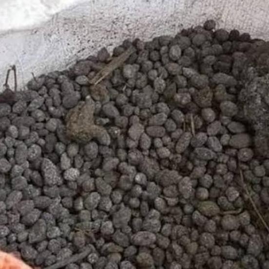 

Terlaris Pupuk Kandang Kambing Murni