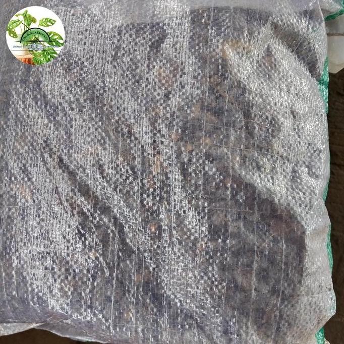 

Terlaris Pupuk Kandang Kambing Murni Media