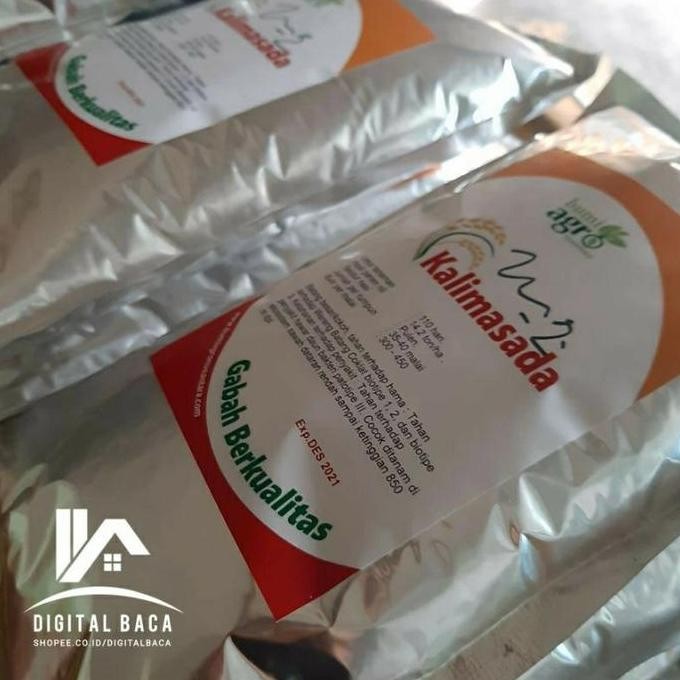 

Terlaris Benih Padi Kalimasada Premium 1 Kg