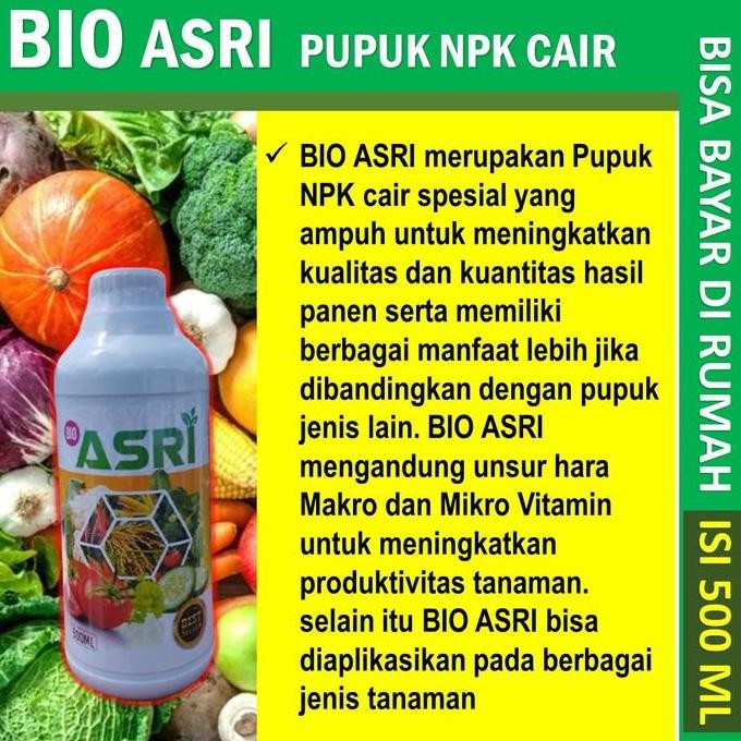 

Terlaris Bio Asri Grow 500 Ml Pelebat Bawang Daun Terbaik Tahan Di Musim Hujan - Pupuk Npk Cair Pelebat Bawang Daun, Pupuk Organik Pelebat Bawang Daun Isi 500 Ml - Pupuk Organik Cair Melebatkan Daun Bawang Pupuk Terlaris Bawang Daun Ampuh Pupuk Tahan