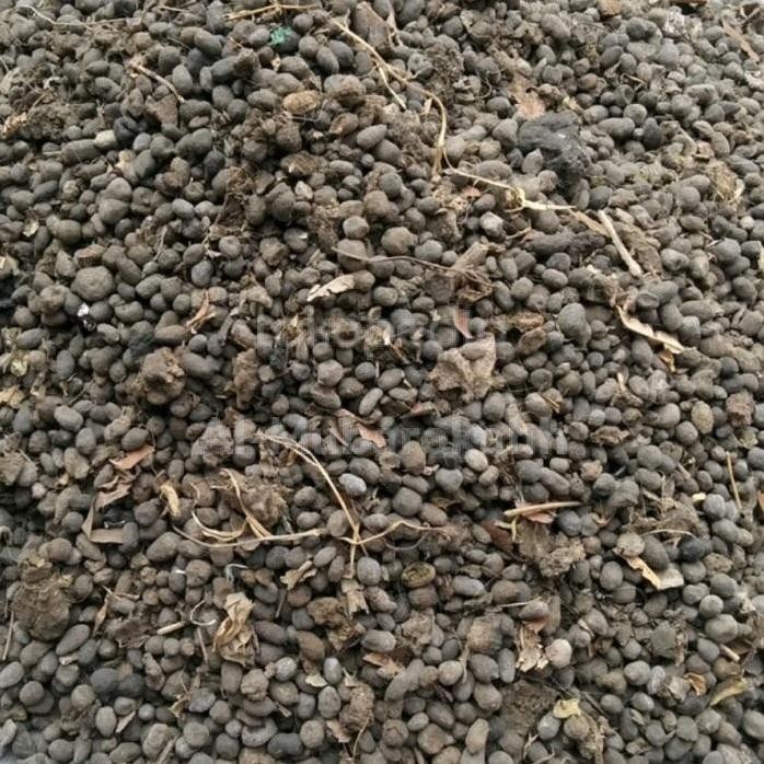 

Terlaris Media Tanam Pupuk Kandang Oeganik Kohe