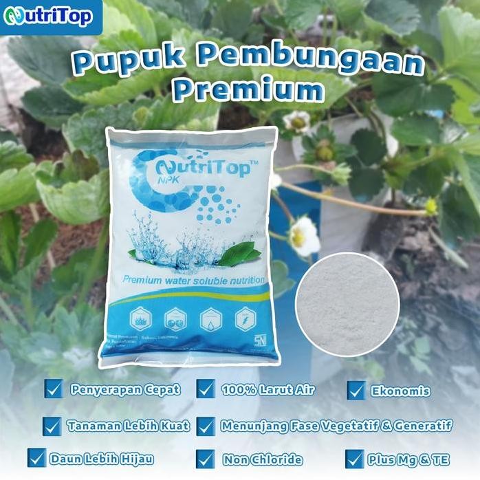 

Terlaris Pupuk Npk Ws 15-25-15 + Mg + Te Nutritop