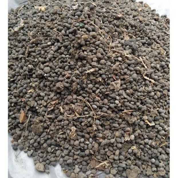 

Terlaris Pupuk Kandang Kambing Kasar (Geek Farmer) Qmvgsl 8676Fd